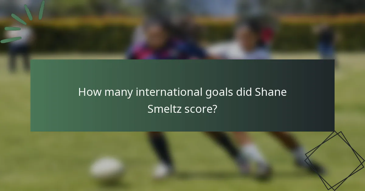 How many international goals did Shane Smeltz score?