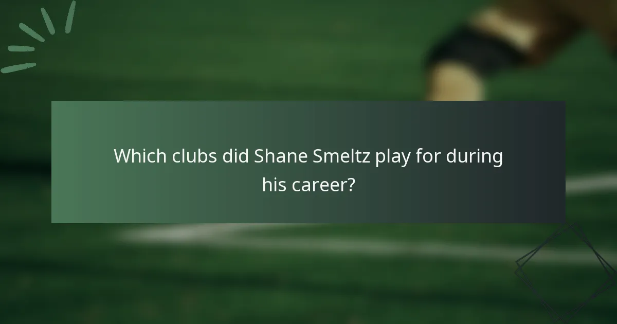 Which clubs did Shane Smeltz play for during his career?